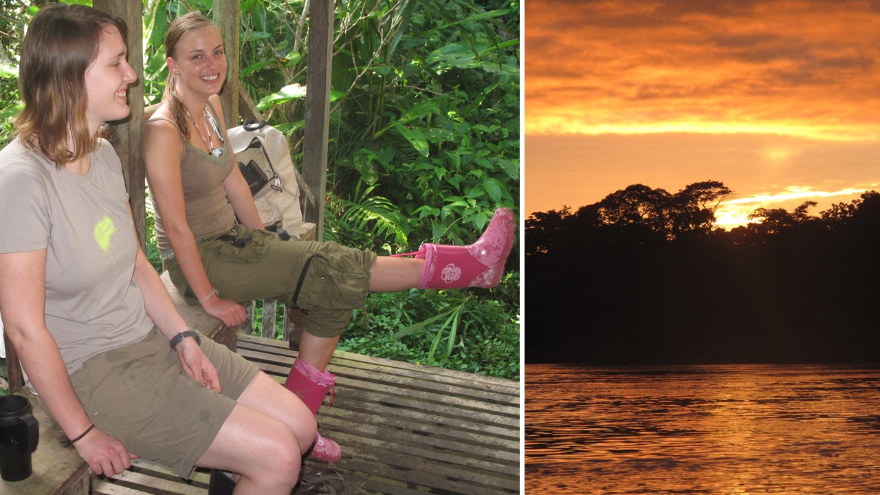 Jede Minute im Dschungel genießen