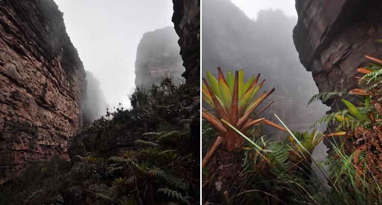 Mystische Stimmung in Venezuela
