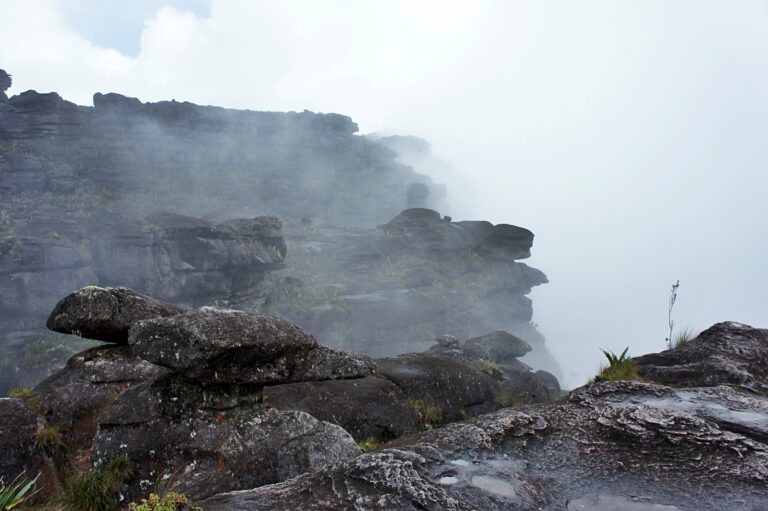 Nebel auf dem Roraima in Venezuela