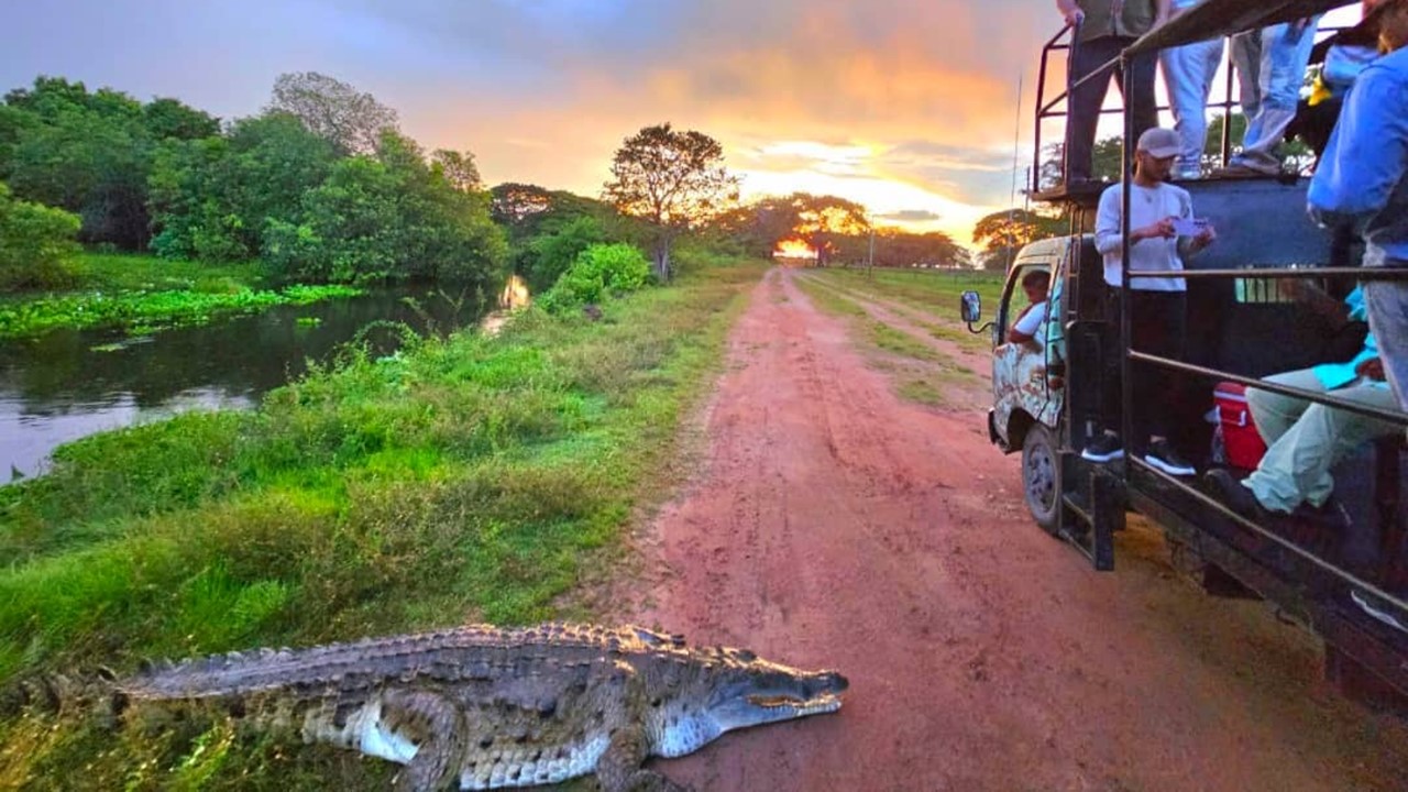 Safari in Los Llanos