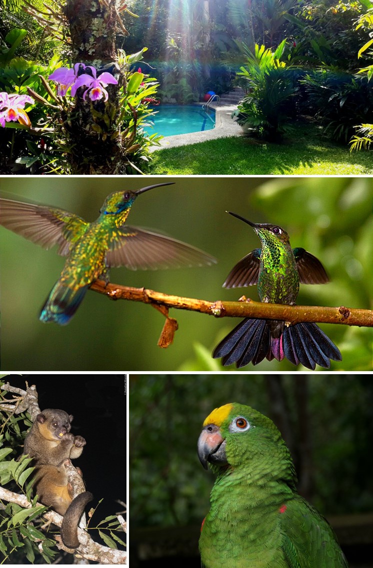 Posada Ecológica Casa María in Venezuela