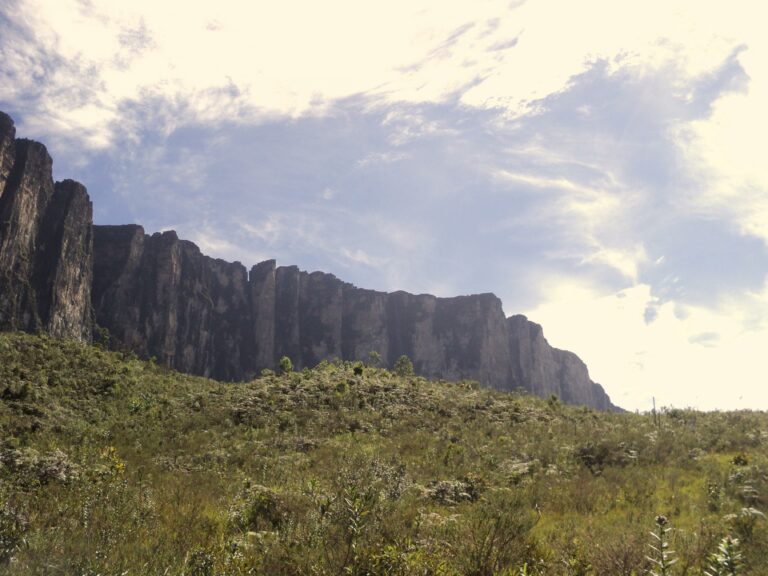 Blick auf den mächtigen Roraima