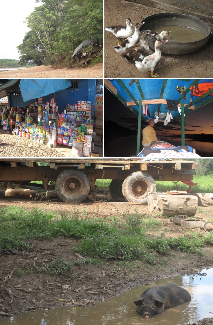 Das Leben im Amazonasgebiet