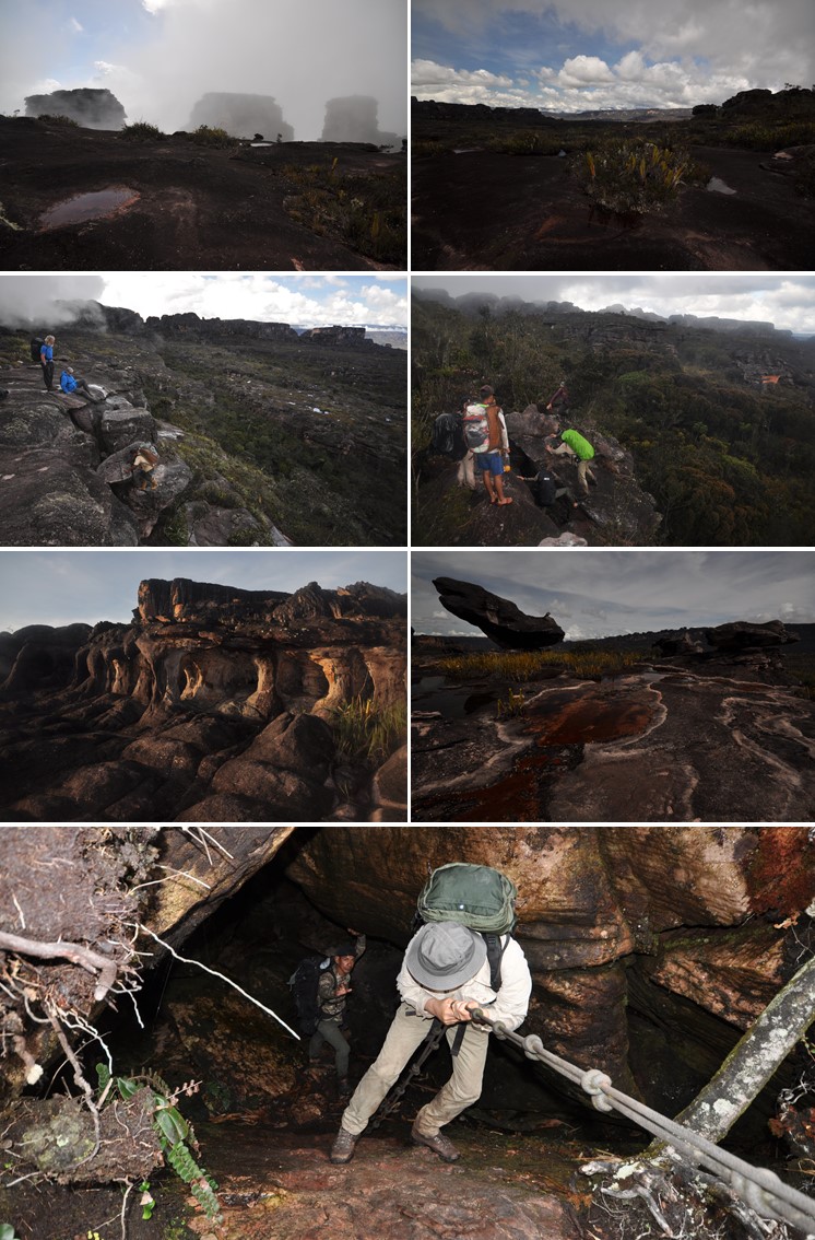 Tafelberg Trekking in Venezuela