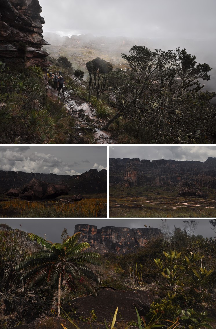 Auyan Tepui Wanderurlaub