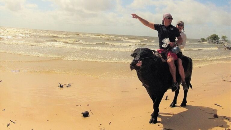 Zwei Personen reiten auf einem Wasserbüffel am Strand entlang