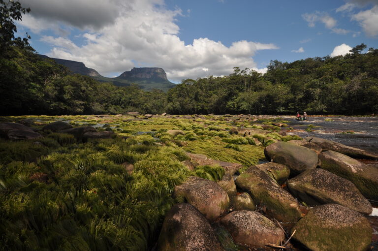 Blick vom Río Carrao auf den Salto Ángel
