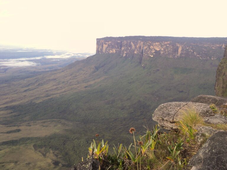 Ausblick auf Tafelberg und die umliegende Landschaft