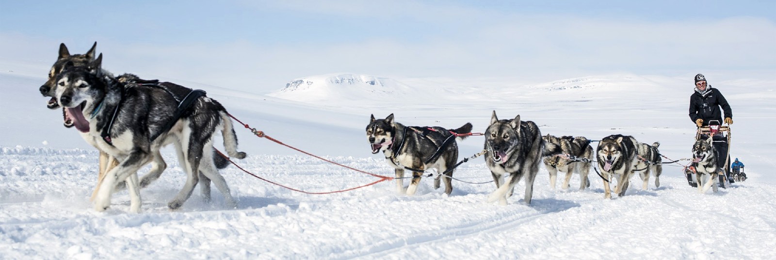 Aktivferien weltweit