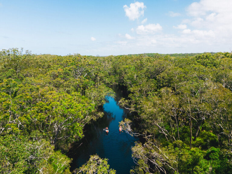 Kanu in den Noosa Everglades