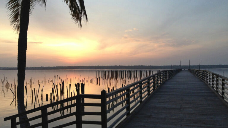 Sonnenuntergang, Steg, Palme