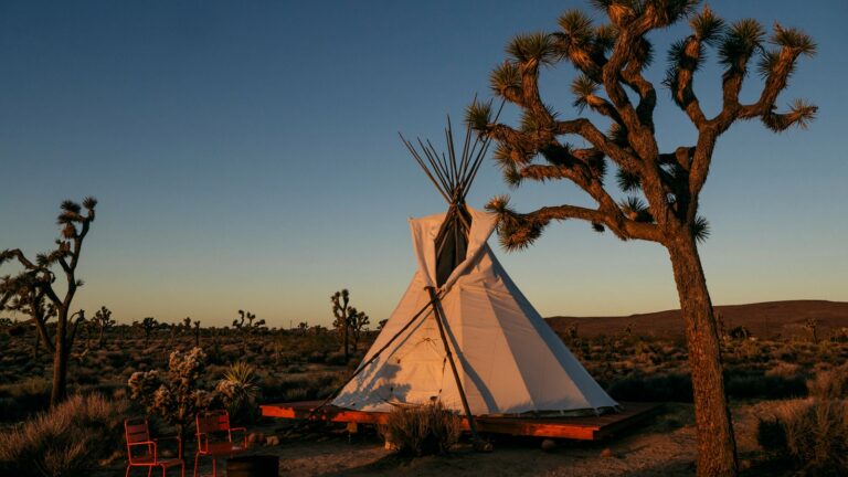 Zelt im Joshua Tree Nationalpark - Flashpacking