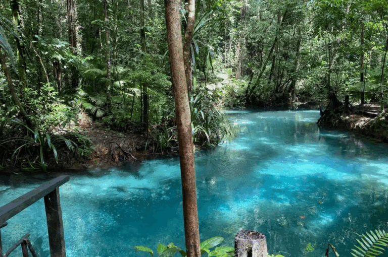 Kristallklarer blauer Fluss im Dschungel von Raja Ampat, Indonesien – verstecktes Naturwunder im Raja Ampat Urlaub