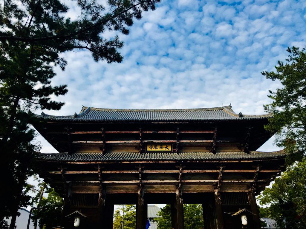 Gruppenreisen für junge Leute Japan Erfahrungsbericht traveljunkies