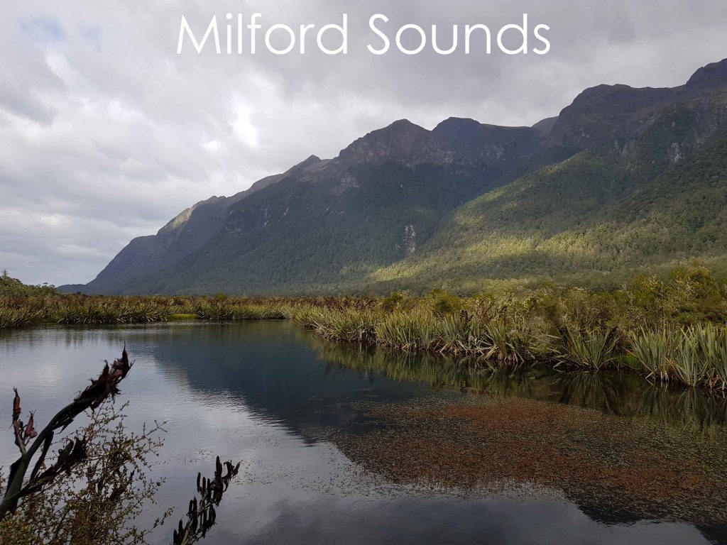 Milford Sounds Reisebericht Erfahrungsbericht Erfahrung Urlaub Neuseeland traveljunkies