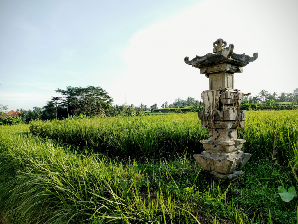 Campuhan Ridge Walk Bali