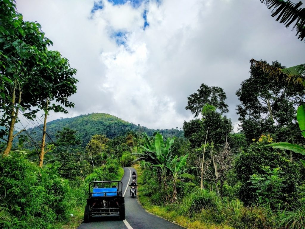 Unterwegs mit dem Buggy